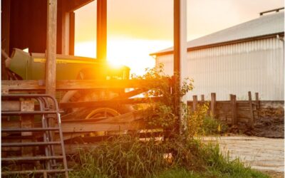 Why Agribusinesses Need Agricultural Marketing Agencies Now More Than Ever