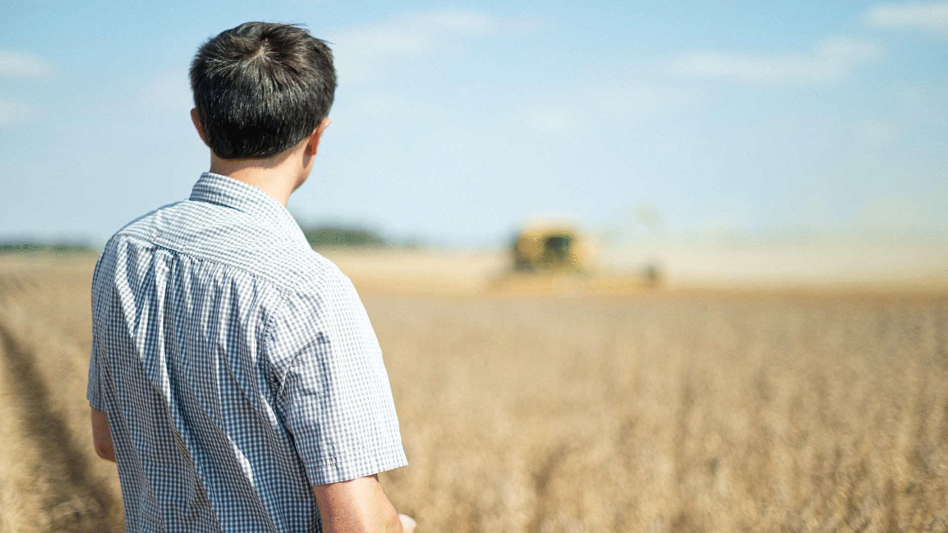 young farmer looking out over soybean harvest field