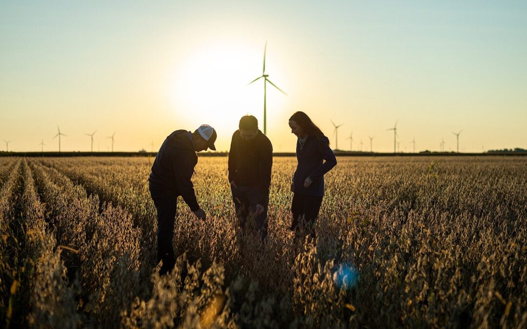 Marketing to Farmers: How to Build Trust and Deliver Value