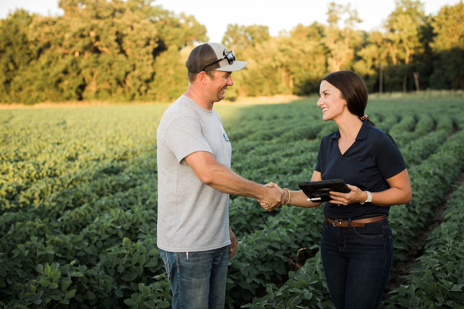 9768442462484-Agronomist and Farmer in Soybean Field Shaking Hands 6102