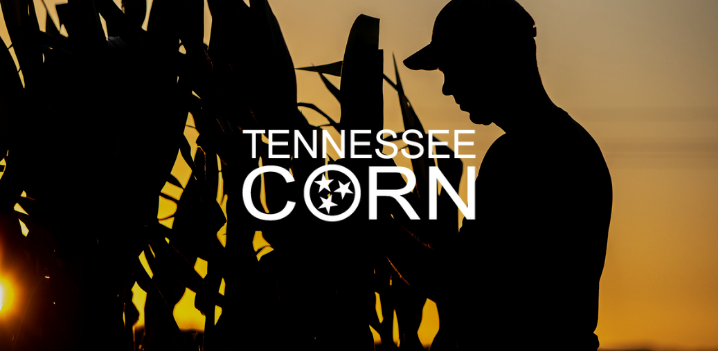 MCO Mini Case Study Banner (7) Farmers in field next to Gleaner combine