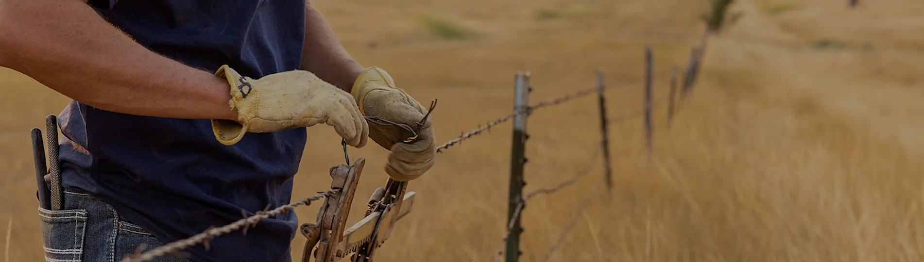 Hands on a fence rail at dusk